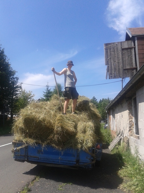 Kosení 2014-1